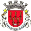 Sao Salvador Team Logo