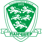 team logo