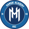 Hamsik Academy U19 Team Logo