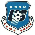 team logo