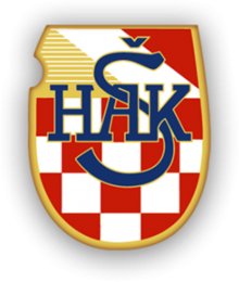 team logo