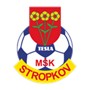 MSK Tesla Stropkov