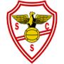 SC Salgueiros