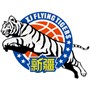 Xinjiang Flying