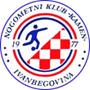 Kamen Ivanbegovina