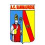 Sammaurese