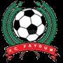 Fayoum FC
