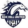 Box Hill United (w)