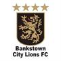 Bankstown City Lions (w)