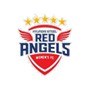 Incheon Red Angels (w)