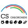 Gheorgheni