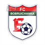 Bobruichanka (w)