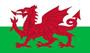 Wales U19