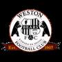 Weston Workers Bears FC Reserves