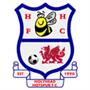 Holyhead Hotspur