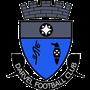 Darvel FC