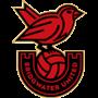 Bridgwater United