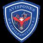  CD Avispones de Chilpancingo