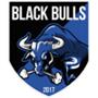 Black Bulls Maputo