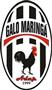 Galo Maringa