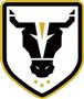 Bulls FC Academy U20