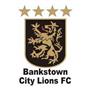 Bankstown City FC U20