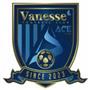 Sejong Vanesse FC