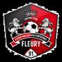 Fleury-Merogis 91