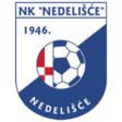 Nedelisce Team Logo