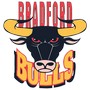 Bradford Bulls